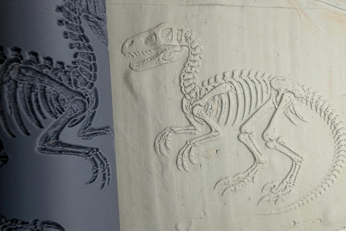 Dinosaur Skeleton Deboss Texture Roller No. 51