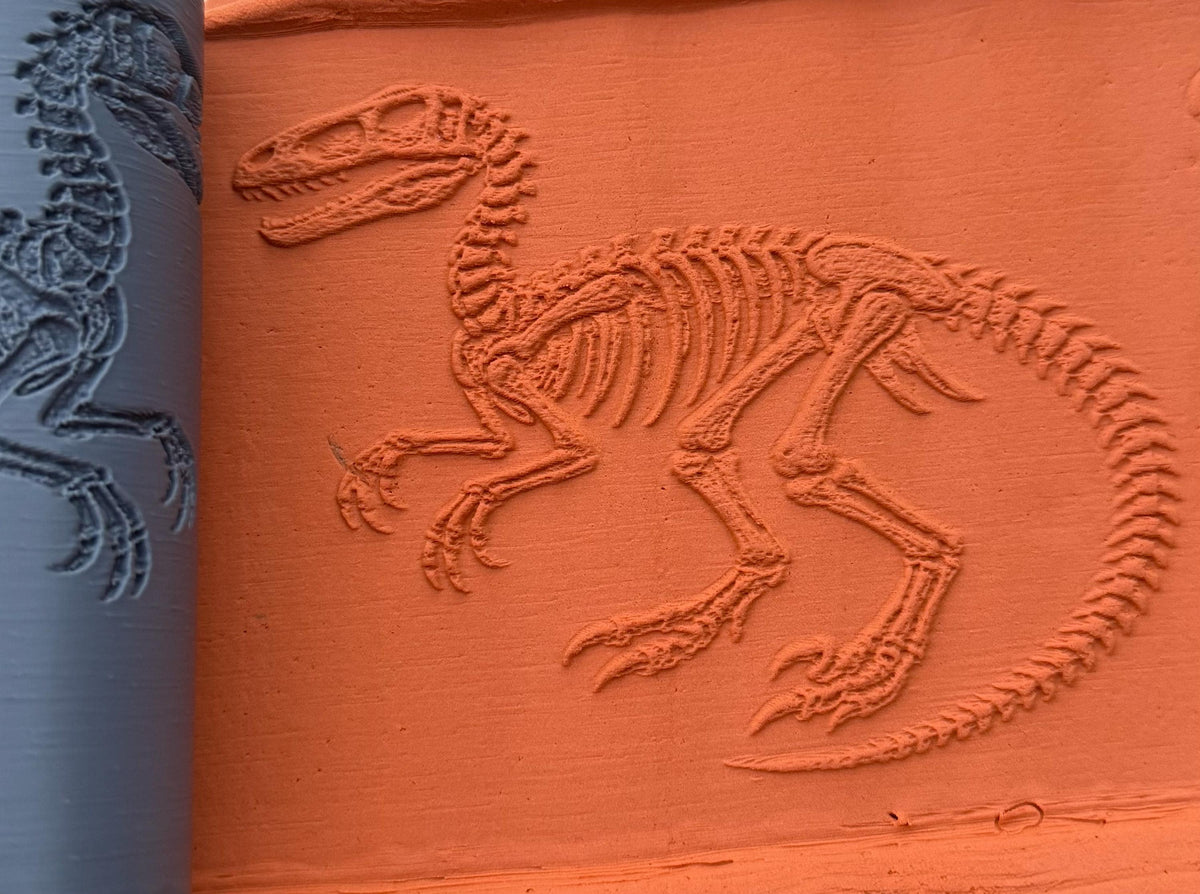 Dinosaur Skeleton Deboss Texture Roller No. 51